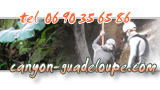 Partez en aventure dans les canyons de la Guadeloupe avec un guide professionnel expérimenté, au programme canyoning, randonnée aquatique, expeditions, pour reserver me joindre au 06 90 35 65 86 