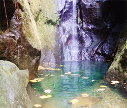 info-reservation-canyoning-olivier